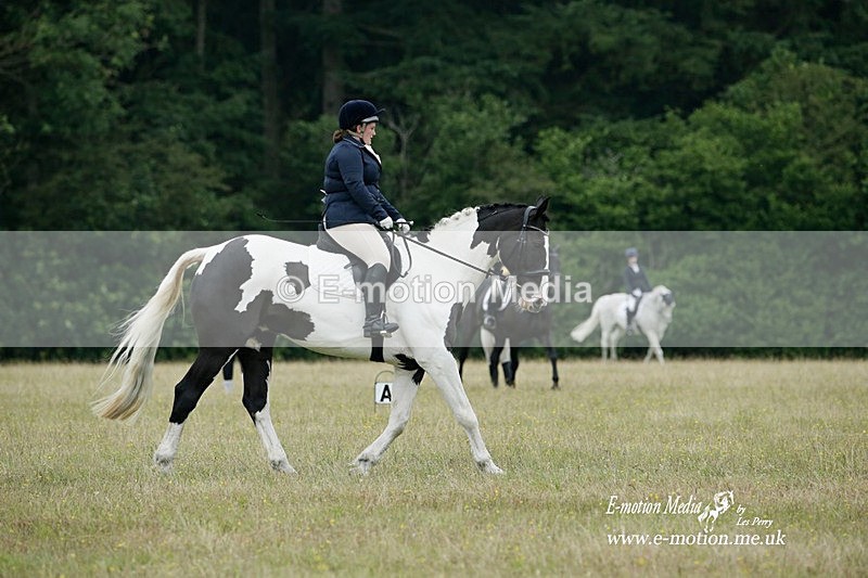 BVRC 030721 513 - Bourne Valley Riding Club Dressage 03/07/21