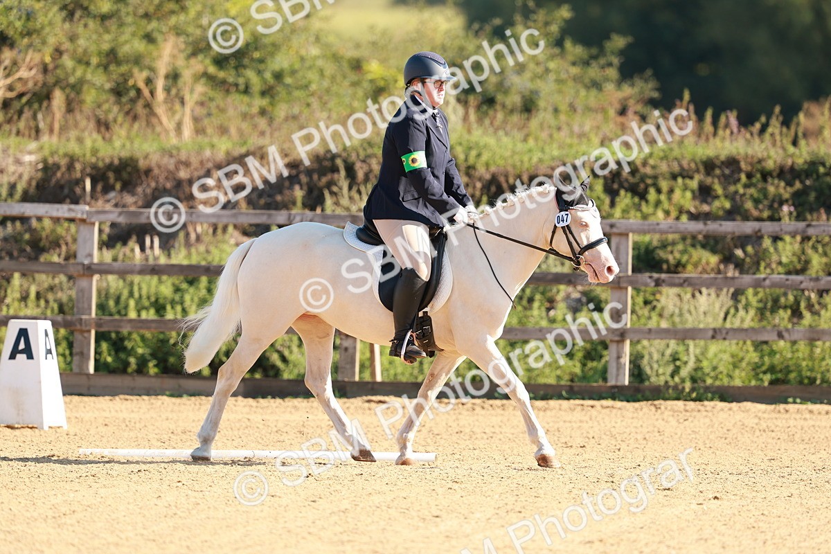 SBM_009106 - Class 1 - Intro 2