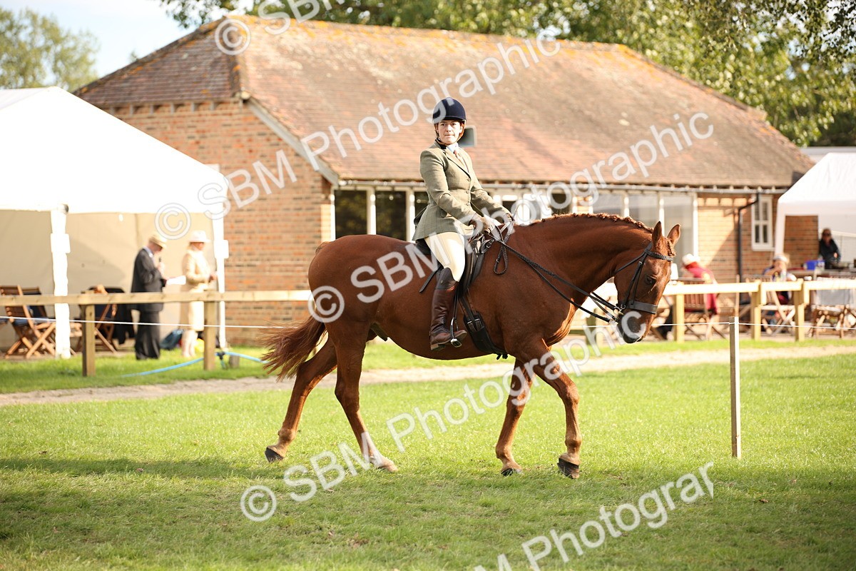 SBM_54246 - S27 - Mature Veteran - Ridden