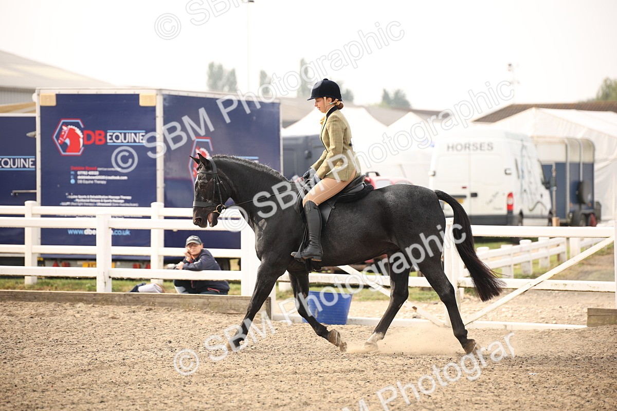 SBM_09774 - Class 401 Riding Club Pony