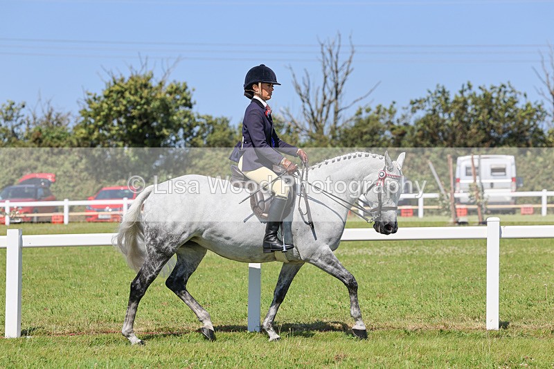 IMG_2127 - Plaited Ridden Championship