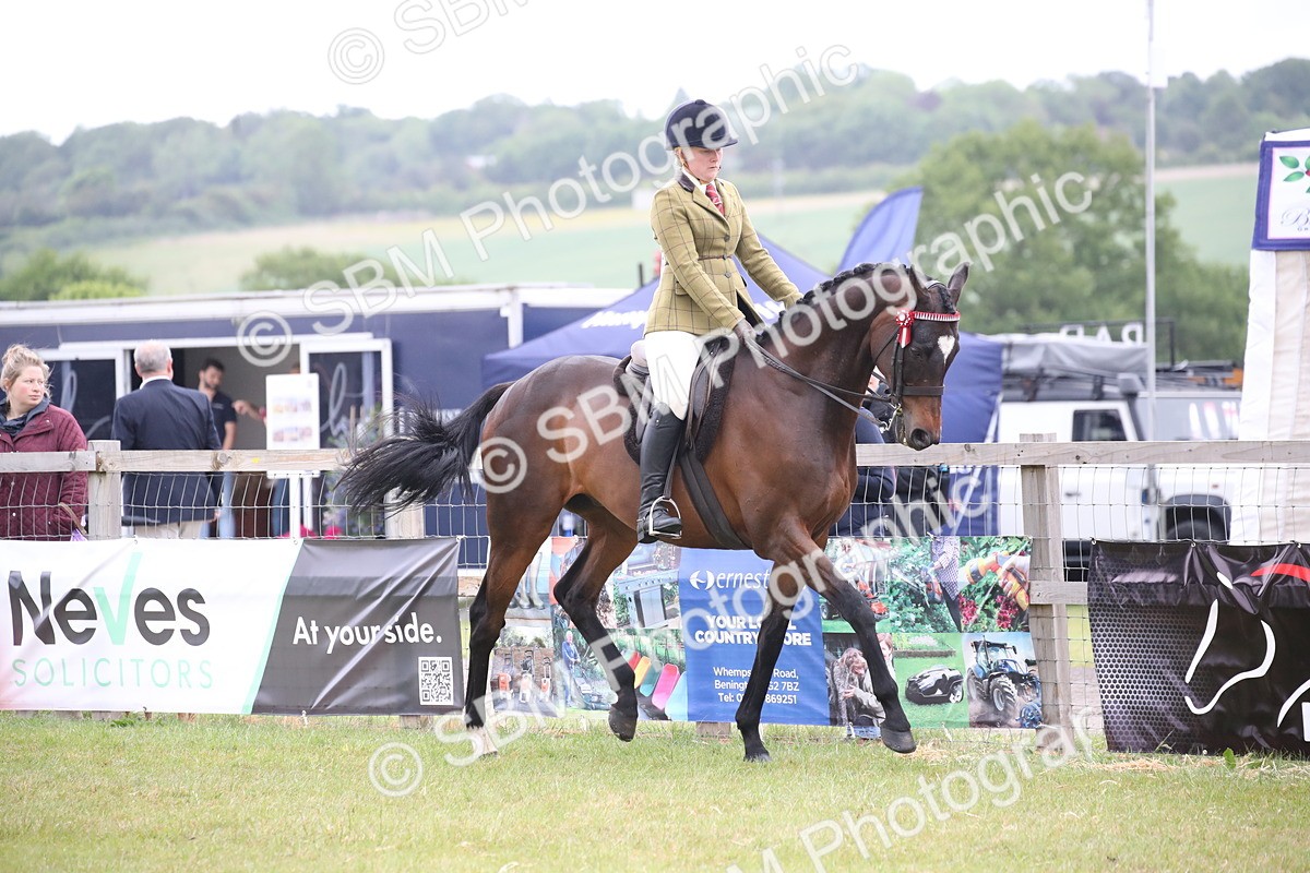 SBM_11391 - Class 94 - LIHS BSHA Racehorse to Showhorse