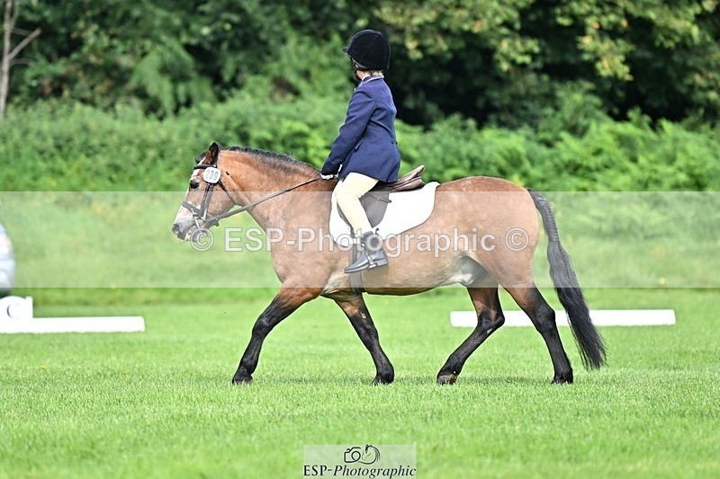 230826-103250-16567 - Sections A & B 10 to End