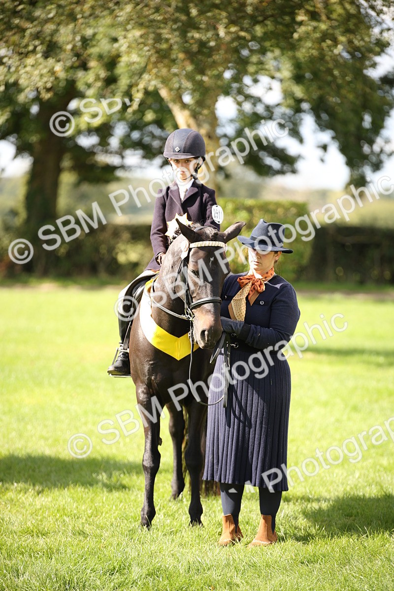 SBM_40914 - Fun Showing Supreme Championship