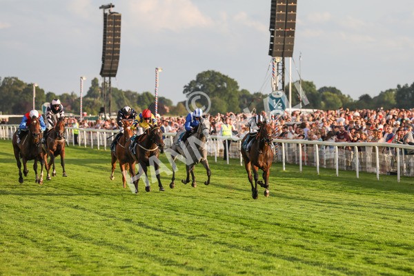 260724-Race 5-Verbier-4140 - Race 5 7.50pm British EBF Lyric Fillies' Stakes
