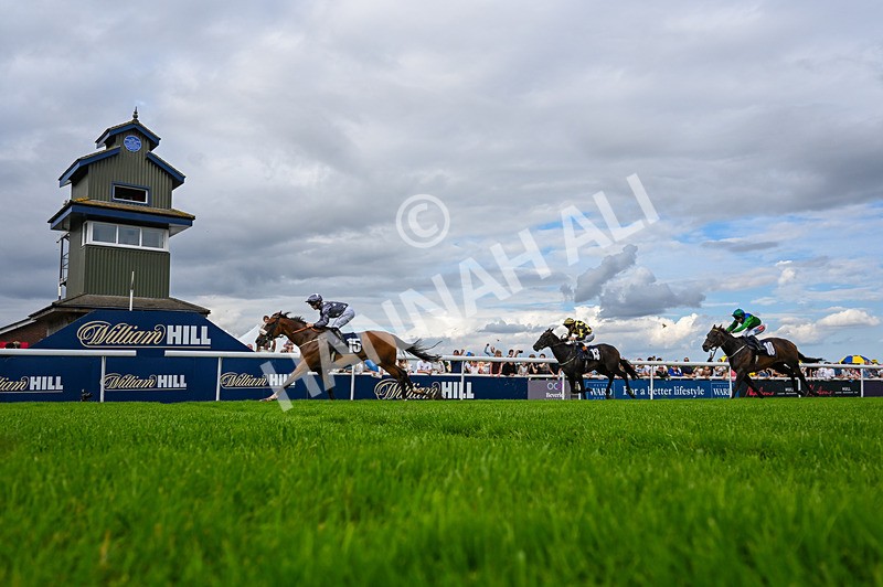 300826-Race 5-Harb-6164 - Race 5 3.55pm Constant Security Handicap