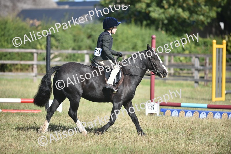 20260906-0981 - Class 7 - Absolute Novice Jumping 35cm