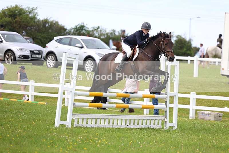 3E7A1811 - Class 13: Senior British Novice/90cm open