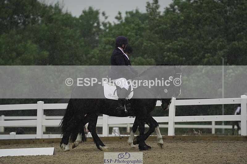 230708A-123034-00406 - BRC Pairs 5