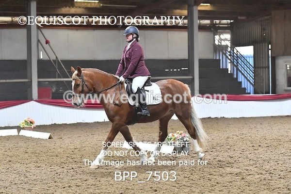 BPP_7503 - INTRO TEST 2