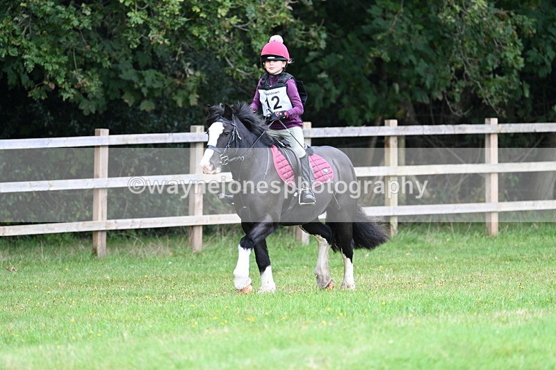 WJ7_7291 - 40cm Time 10:06 to 10:24