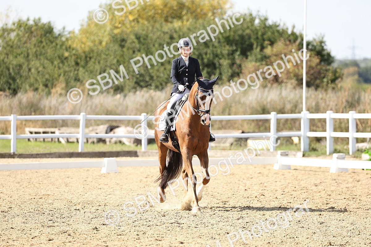 SBM_014916 - Class 7 - Medium 3