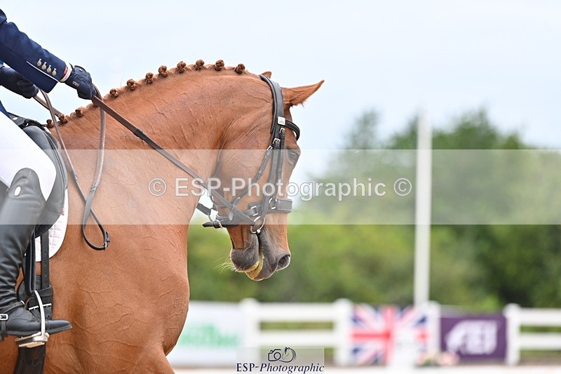 240817A-145851-09736 - 302-Charlotte.Billson-Killycloghan.Sun.King