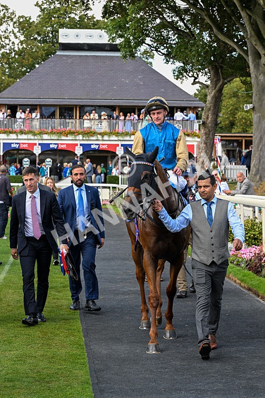 220826-Race 1-Archivist-9332 - Race 1 13.50pm Sky Bet Strensall Stakes