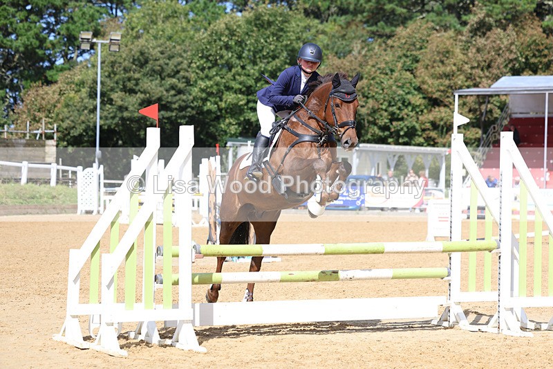 3E7A9316 - Class 9: Senior British Novice/90cm open