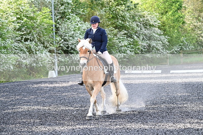 WJ7_7956 - Time 10:11 to 10:27