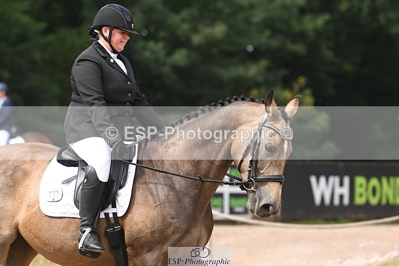 250719A-104648-04024 - 127-Jocelyn.Gilmore-Spring.Lily