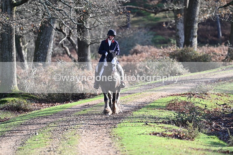 WJ7_7778 - Line 3 (no line 4 or 5)