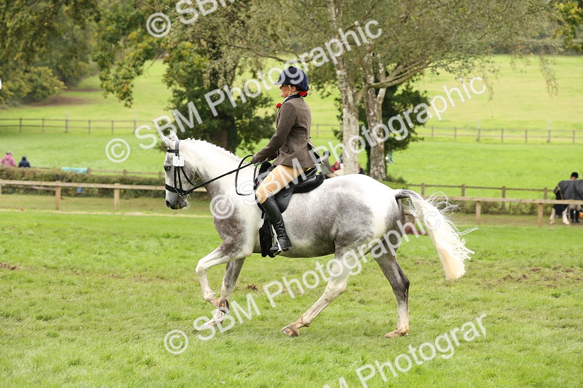 SBM_69896 - S68 - Other Coloured Horse Ridden