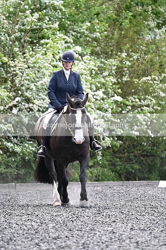 WJ7_9005 - Time 11:32 to 11:54