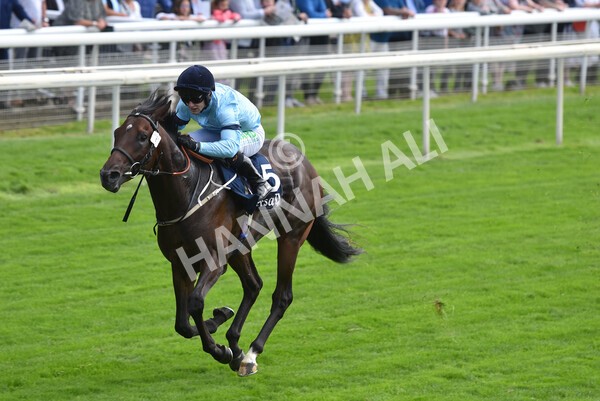 yr18082021r2-22 - Race 2 2.25pm Tattersalls Acomb Stakes