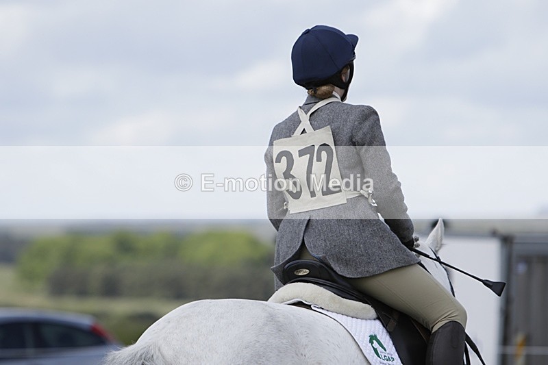 BVHT 140517 N-308 - Class 2 SJ Novice 14/05/17