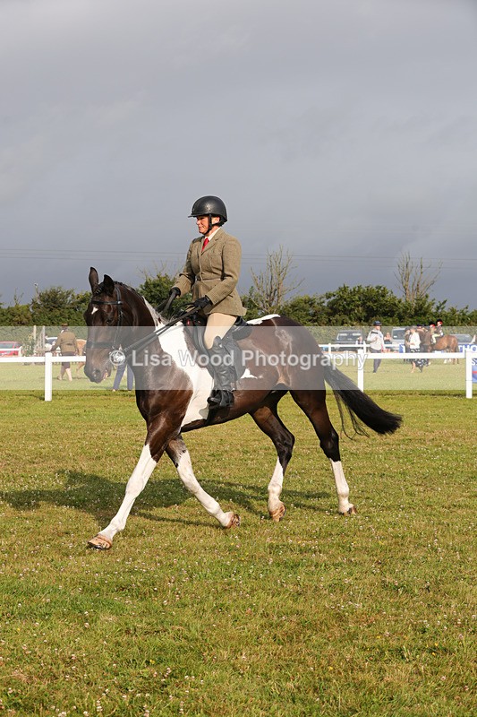 1X9A2930 - Class 25: Ridden Plaited Coloured Horse