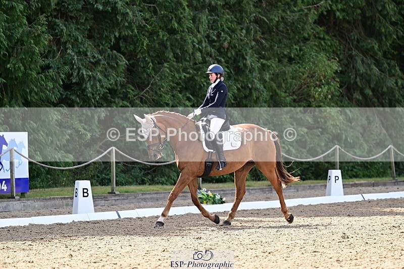 260802A-103816-05551 - Novice Silver break - break