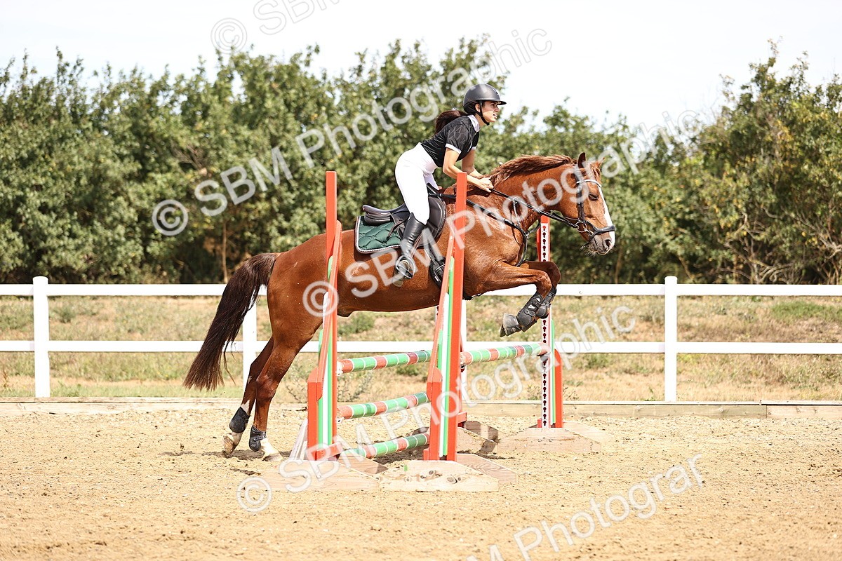 SBM_000590 - Class 3 - Senior British Novice - 90cm