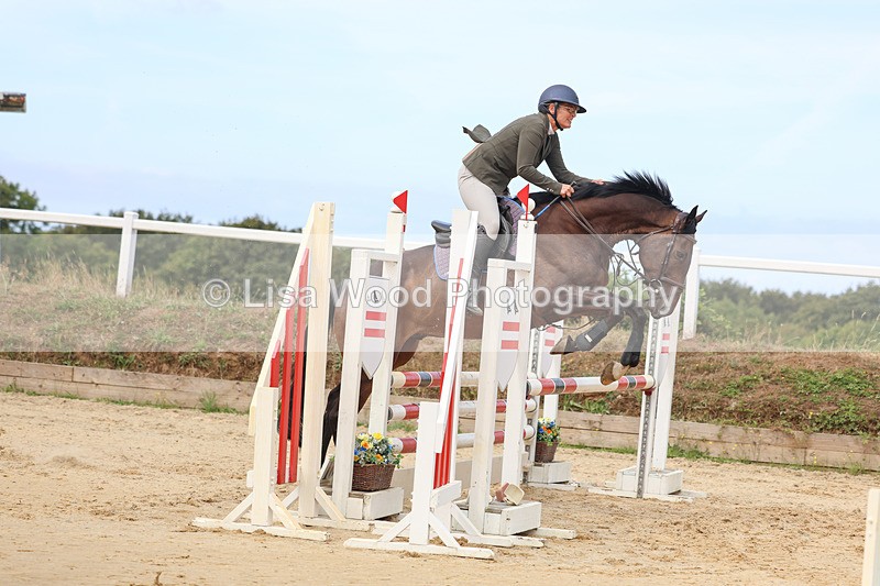 3E7A3380 - Class 4: Senior British Novice/90cm open