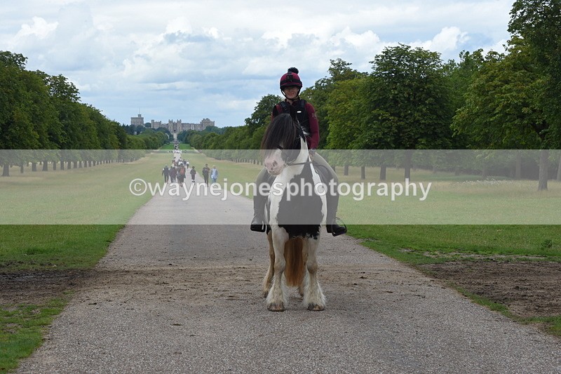 TT3_0298 - Time at Crossing 13:17 to 14:48