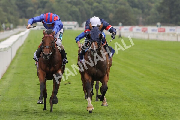 yr23072022r3-22 - Race 3 3.15pm Sky Bet York Stakes