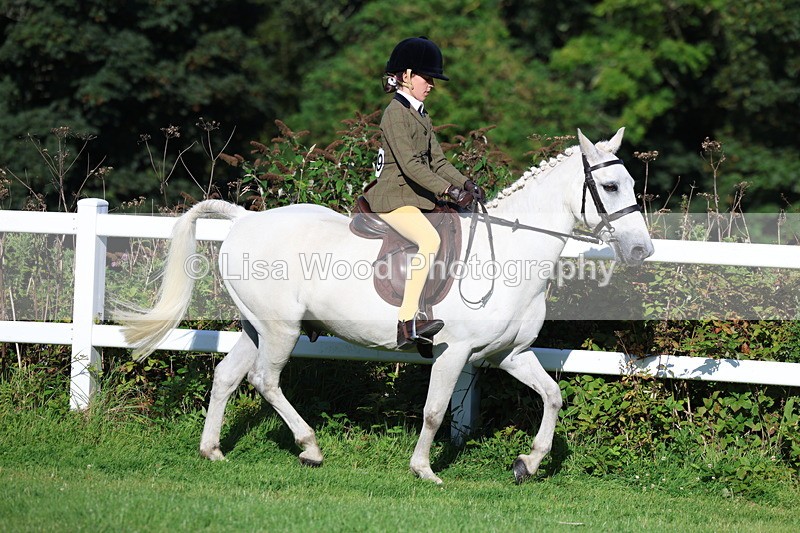 3E7A7574 - Class 1: Novice Working Hunter Pony