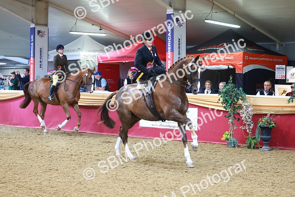 SBM_12715 - Class 103 - HOYS Veteran Qualifier - Ridden Pre Vet