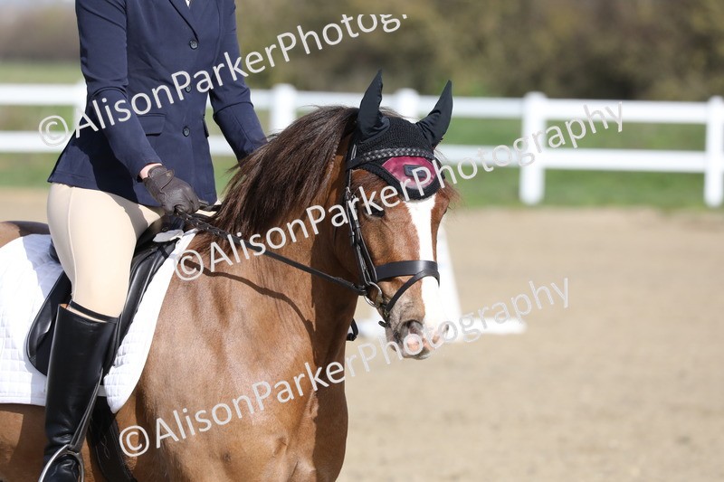 20260314-0253 - DR1 - Intro 1