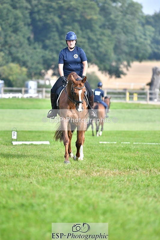 230817-092947-02563 - Abbie's 1st Group - Dressage