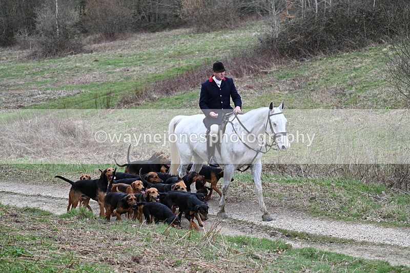 WJ7_7317 - Walk Home