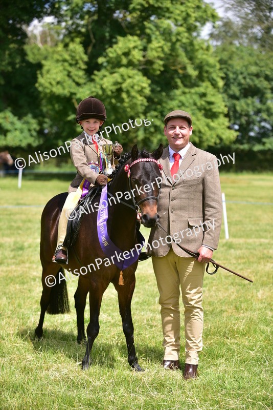 20260614-1419 - Class 11b - Lead Rein Pony (Plaited)