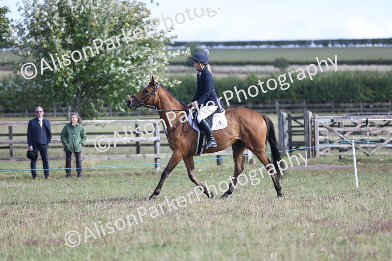 20250831-0870 - Class 14 - Ex Racehorse