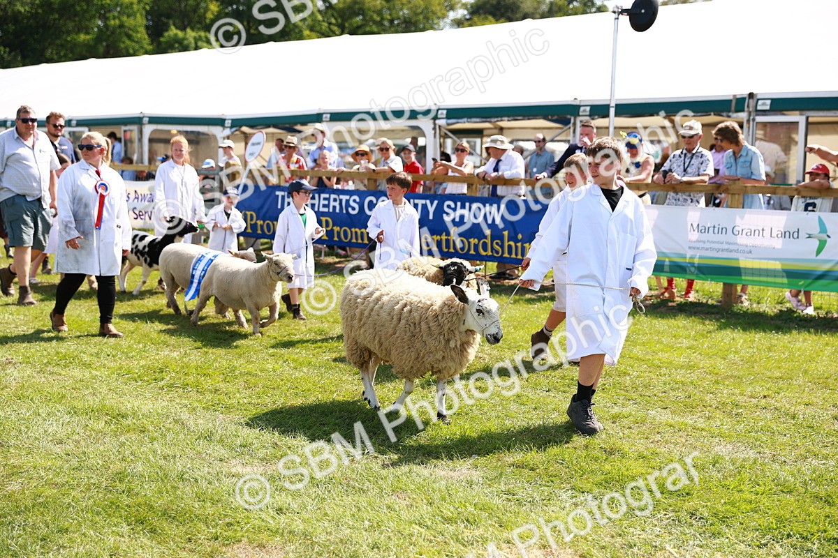 SBM_08387 - Grand Parade