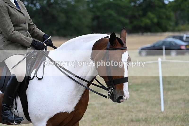 WJ7_5420 - Class 12 Ridden Cob