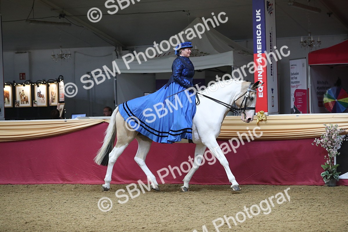 SBM_11968 - Class 106 Ridden Costume- Astride Adult (15-19)