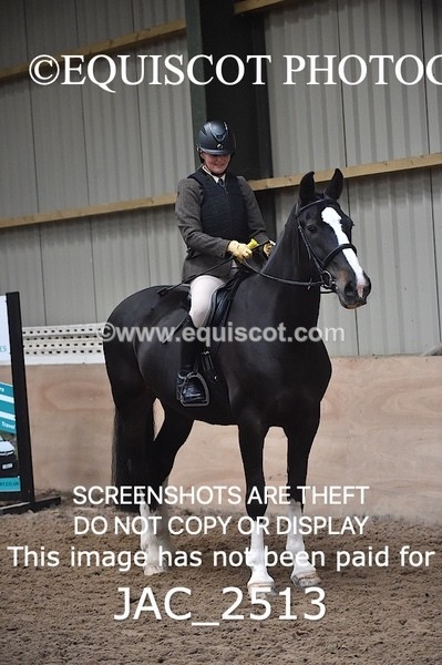 JAC_2513 - CLASS 3 Intermediate Working Hunter