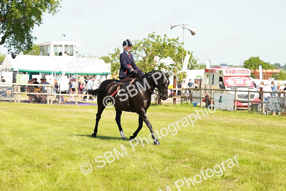 SBM_13413 - Class 70-71 - Side Saddle