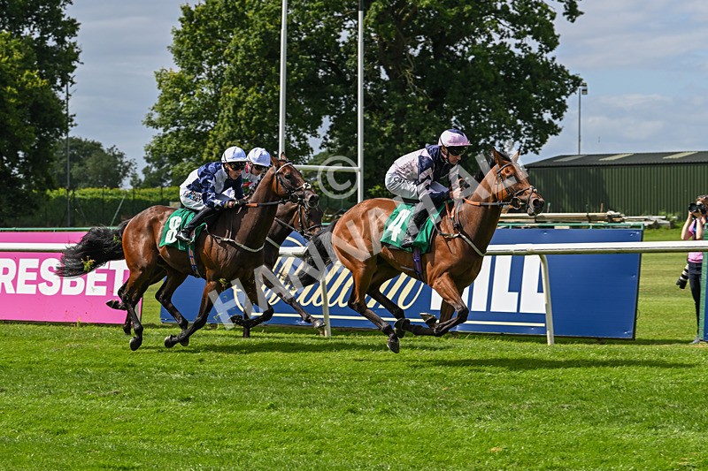 030824-Race 2-Barefoot Warrior-1525 - Race 2