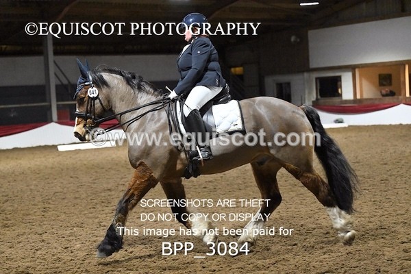 BPP_3084 - ELEM TEST 6