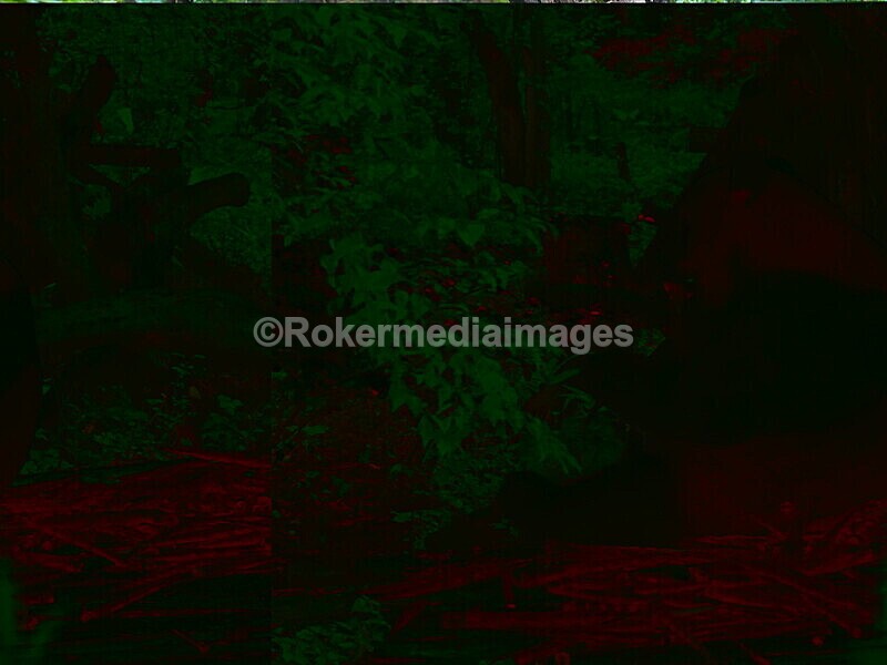 CHINA__0047 - China 2019