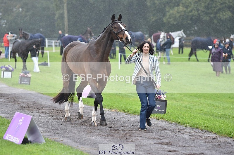 231018-121032-00117 - 013-CRIME.SCENE-Alexandra.Heard-TrotUp