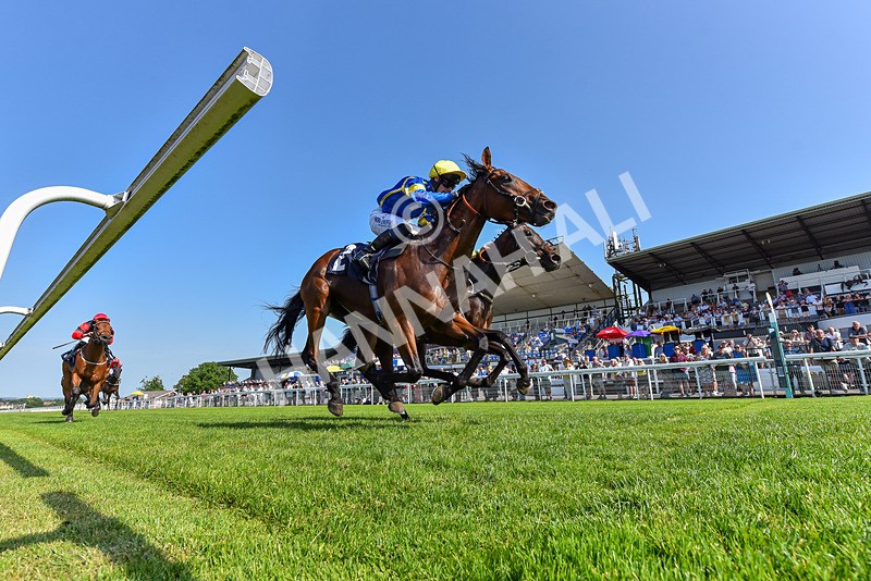 230626-Race 6-Sahm Naif-1446 - Race 6 16.52pm Racing TV Extra On racingtv.com Handicap
