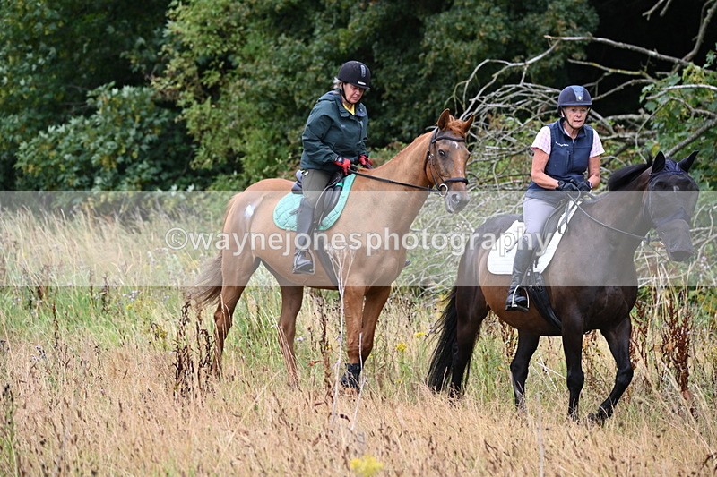 WJ6_2137 - Group 6?